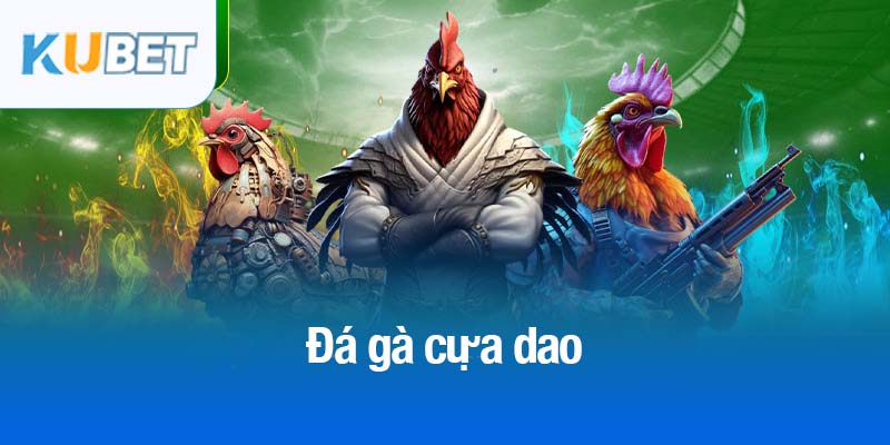 Đá gà cựa dao