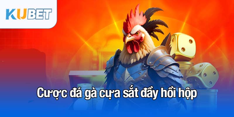 Đá gà cựa sắt - Tận hưởng đam mê cá cược đầy thử thách 2 Cược đá gà cựa sắt đầy hồi hộp