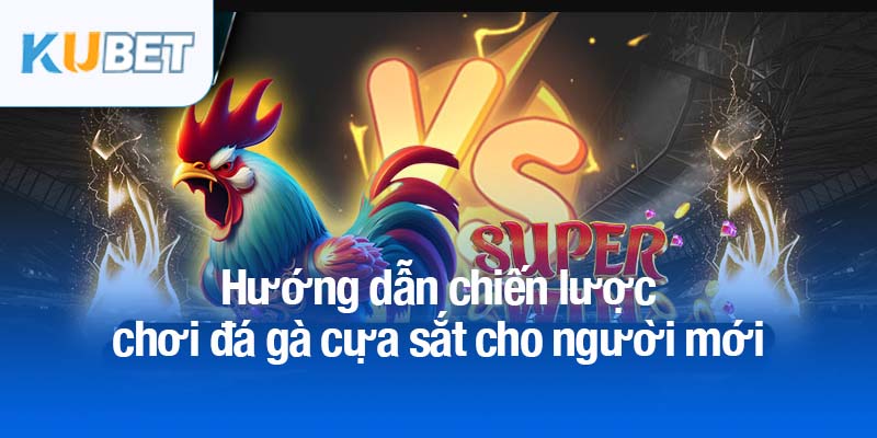 Đá gà cựa sắt - Tận hưởng đam mê cá cược đầy thử thách 4 Hướng dẫn chiến lược chơi đá gà cựa sắt cho người mới