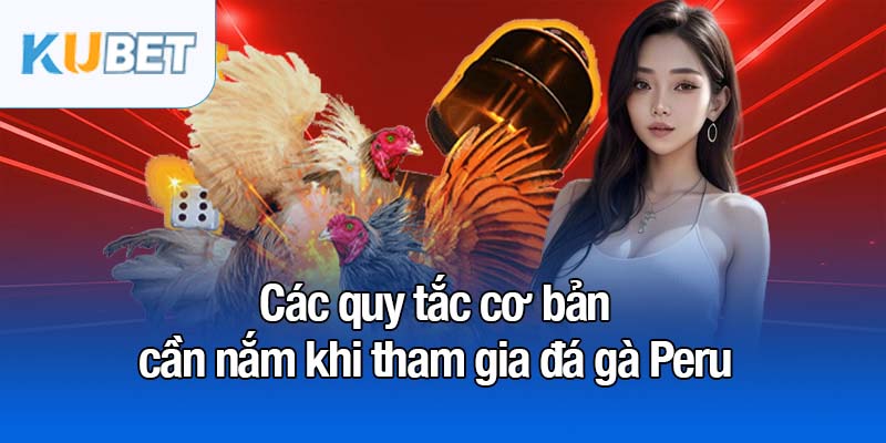 Đá gà Peru - Sự lựa chọn đỉnh cao của dân chơi sành sỏi 3 Các quy tắc cơ bản cần nắm khi tham gia đá gà Peru