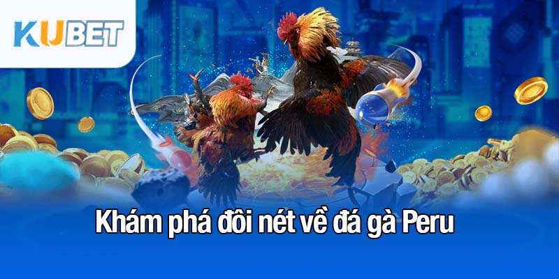 Đá gà Peru - Sự lựa chọn đỉnh cao của dân chơi sành sỏi 2 Khám phá đôi nét về đá gà Peru