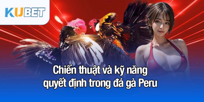 Đá gà Peru - Sự lựa chọn đỉnh cao của dân chơi sành sỏi 4 Chiến thuật và kỹ năng quyết định trong đá gà Peru